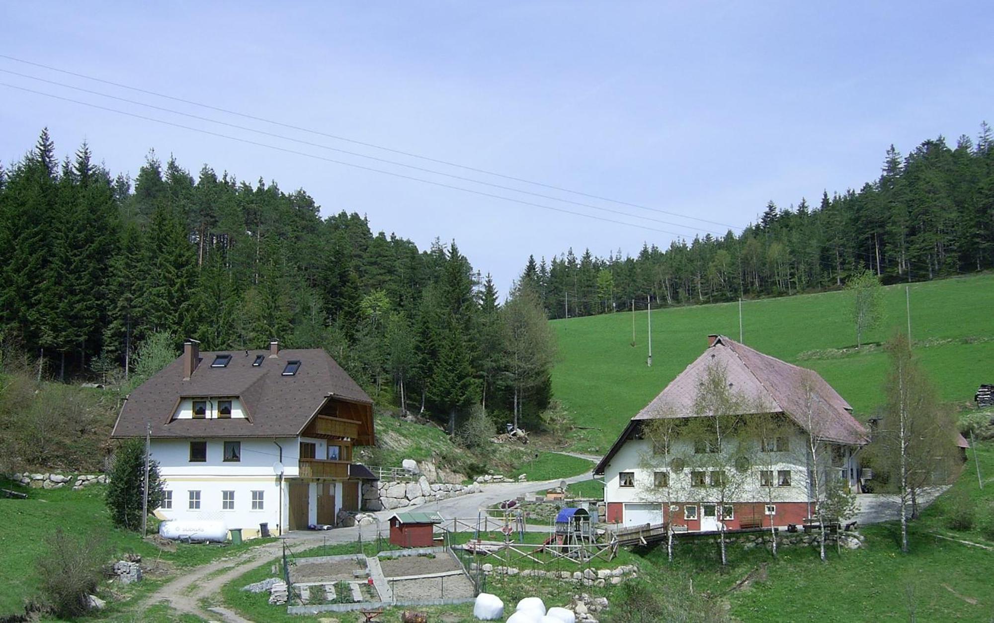 Hinterhauensteinhof Villa Хорнберг Екстериор снимка